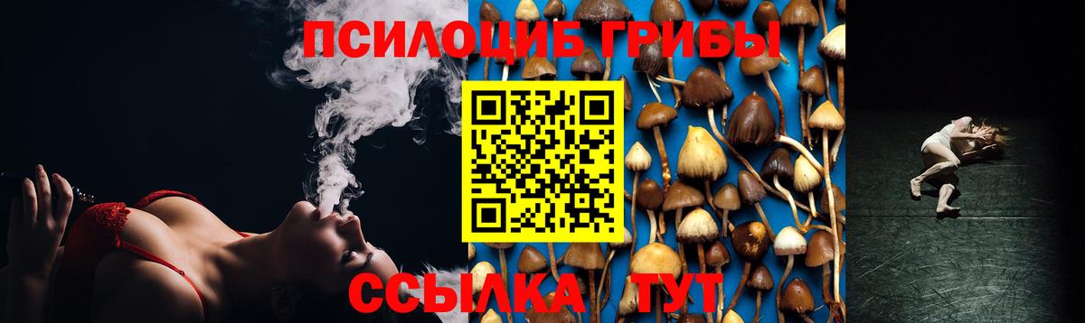 Псилоцибиновые грибы мухоморы  Вход с VPN  Черногорск 