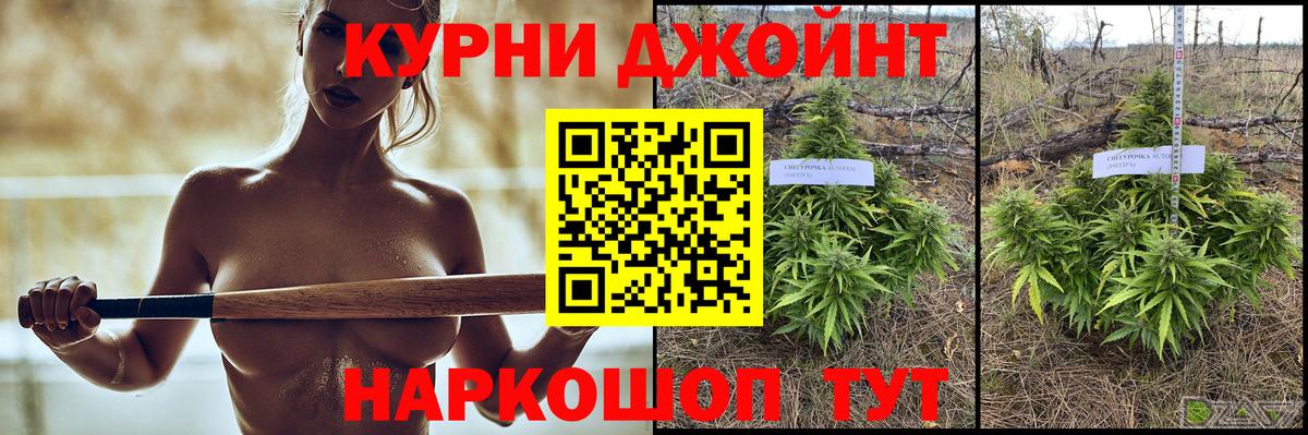 Марихуана планчик Черногорск
